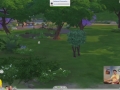 Sims_4_Gamplay_Trailer_Park_152