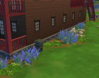 Sims 4 Outdoor Leben Seite